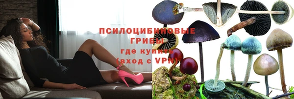 гидра Дмитровск