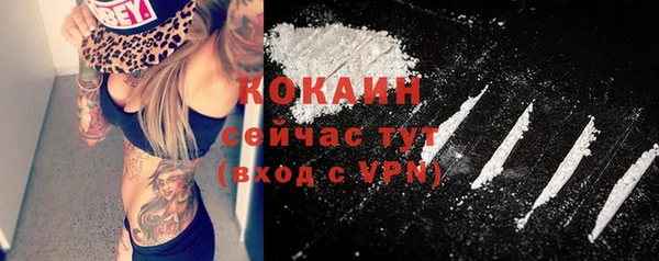 jwh Ельня