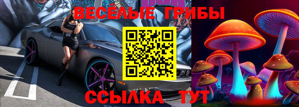 купить  сайты  Псилоцибиновые грибы MAGIC MUSHROOMS  Вход с VPN  Ефремов  Псилоцибиновые грибы Psilocybine cubensis 