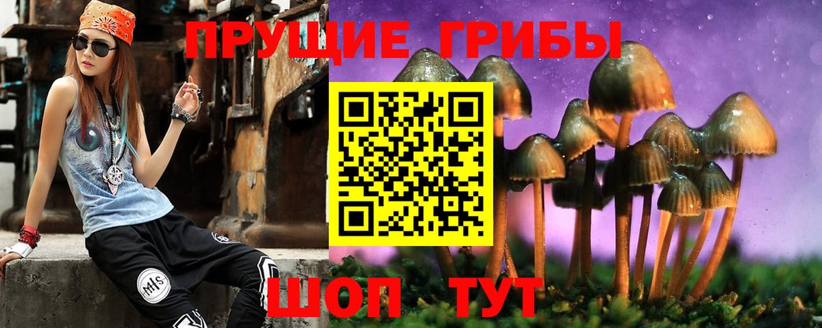 Галлюциногенные грибы Psilocybine cubensis Ефремов